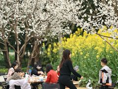 -中国天府农业博览园