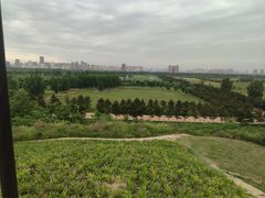 -汉长安城未央宫国家考古遗址公园