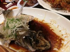 清蒸老虎斑-东江海鲜酒家(艺都分店)