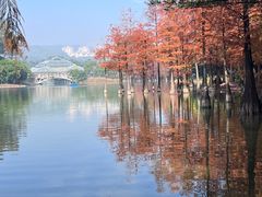 -中国科学院华南植物园