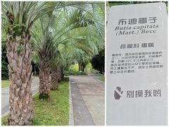 -苏州河梦清园环保主题公园