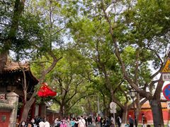 -北京国子监胡同