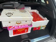 -西郊国际农产品交易中心