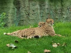 -北京野生动物园