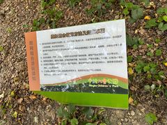 -宁波儿童公园(鄞州区)