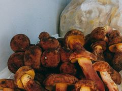 -菌之家·专业纯野生菌火锅·特色炒菌