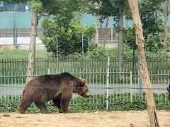-秦皇岛野生动物园