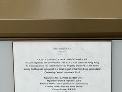 -尼依格罗香港美利酒店