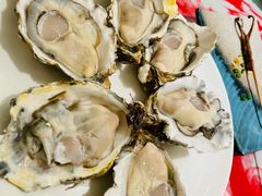 深海黄金蚝（大蚝）-千岛蚝高压锅生蚝·人参火锅(白云万达店)