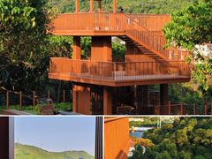 -银湖山郊野公园-相思林