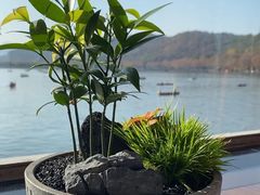 -湖畔居茶楼(湖滨店)