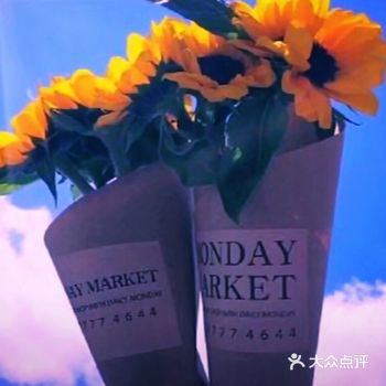 入目无他人，四下皆是你，有你时你是太阳，我目不转睛