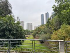 -聚龙山公园