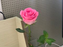 -艾蜜西餐厅(梅园店)