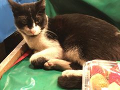 -尚泰清迈机场购物中心