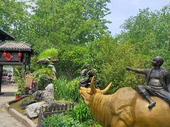 -合肥滨湖国家森林公园