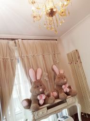 -美肤盾祛痘·问题肌头疗管理中心