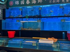 -锦园春香港茶餐厅(西海湾旗舰店)