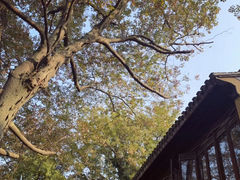 -穹窿山景区