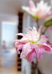 -无界瑜伽普拉提