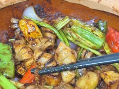 -天宝食坊·啫啫煲大排档(西华路店)