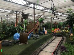 -南宫五洲植物乐园