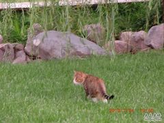 照片-西昌邛海宾馆