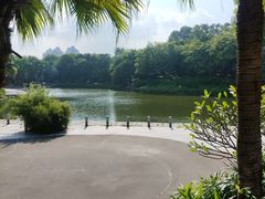 -深圳国际园林花卉博览园