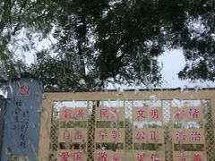 -函谷关历史文化旅游区