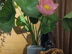 -云尊府云南菜·蒸汽石锅鱼(学清路店)