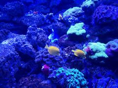 -多彩贵州城极地海洋世界