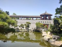 -中国唐苑