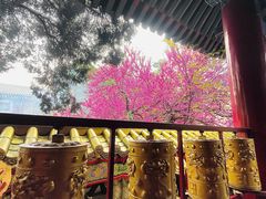 -西安市广仁寺
