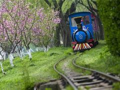 -上海共青森林公园