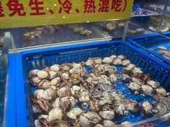 -锅儿欢海鲜火锅烤肉自助餐(东港凯虹店)