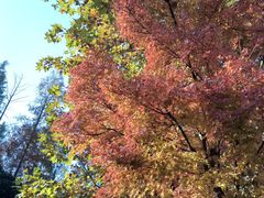 -苏州河梦清园环保主题公园