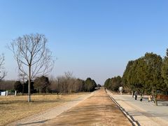 -秦始皇帝陵博物院-丽山园