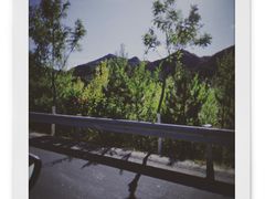 -乌兰布统草原