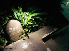 -黄瓜箐温泉疗养院