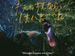 -广州长隆野生动物世界