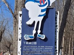 -丁香湖公园