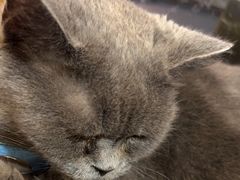 -天天玩X秋葉原日系动漫游戏中心