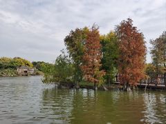 -海珠湖公园