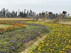 -漩门湾国家湿地公园