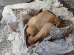 -吉英盐焗鸡(文中路店)