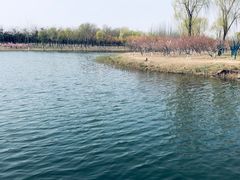 -大兴滨河森林公园