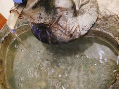 -农家小院(朱雀桥店)