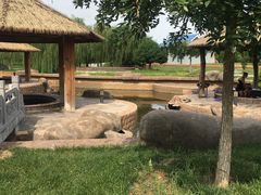 -龙达温泉生态城