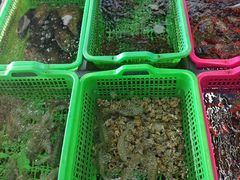 -众味海鲜大排档·活海鲜·潮汕味(南澳店)