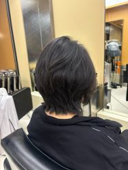 -东方麒麟·潘多拉SALON